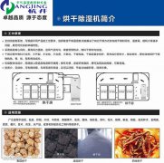 木材烘干耐高溫工業除濕機海鮮食品耐高溫去濕